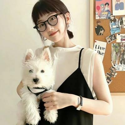圣诞老人征婚